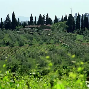 https://fattoria-casa-sola.it-tuscanyhotel.com